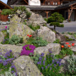 garden-galerie-amenagements-rocaille-alpine