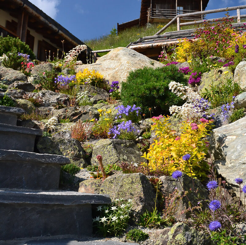 garden-service-creation-rocaille-alpine